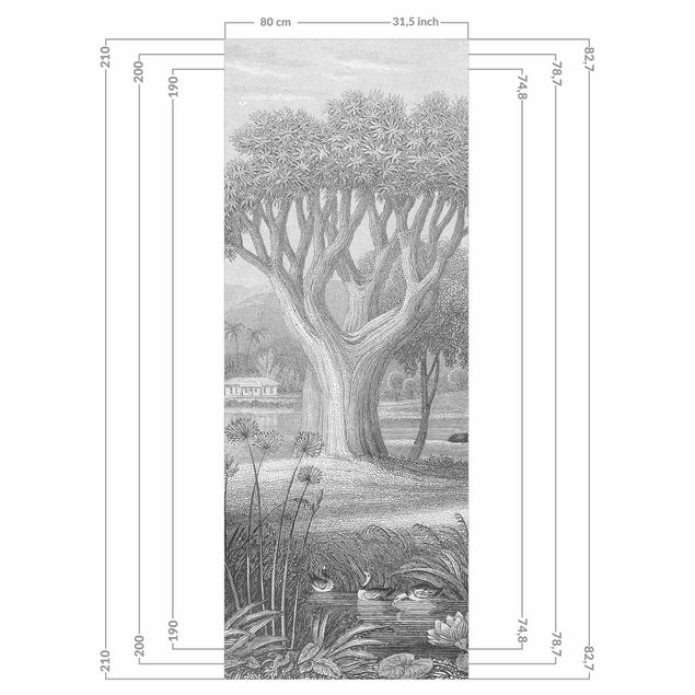 Revêtement mural de douche - Tropical Copperplate Engraving Garden With Pond In Grey