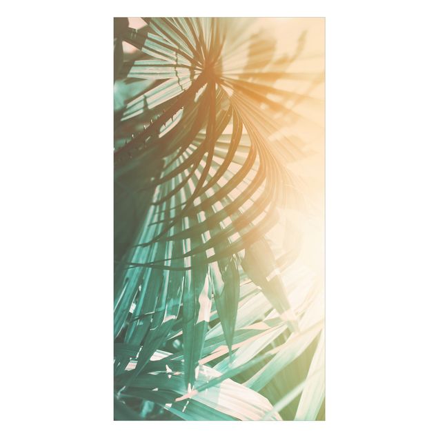 Revêtement mural de douche - Tropical Plants Palm Trees At Sunset