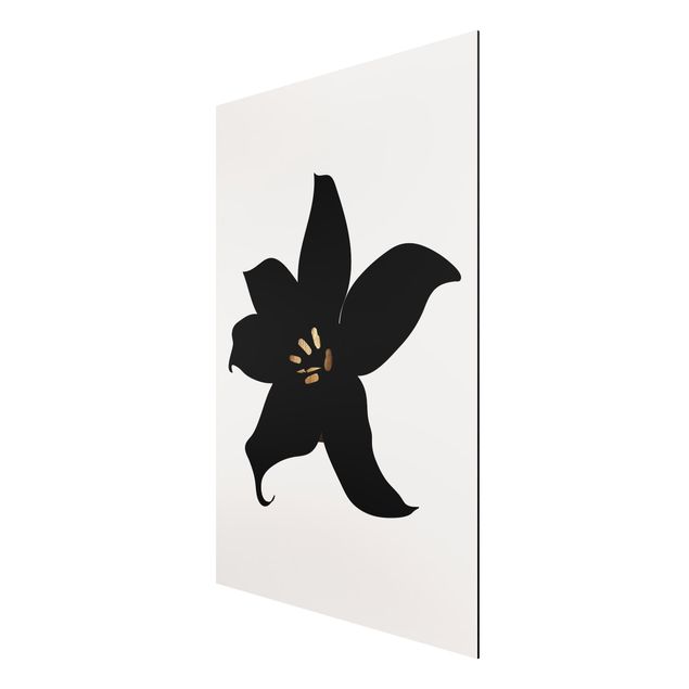 Tableaux orchidées Monde végétal graphique - Orchidée noire et or