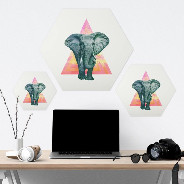 Tableau hexagon Illustration Elephant Front Triangle Painting