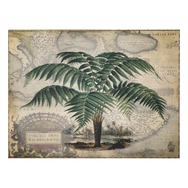 Tableaux paysage Collage Vintage - Palmier et carte du monde
