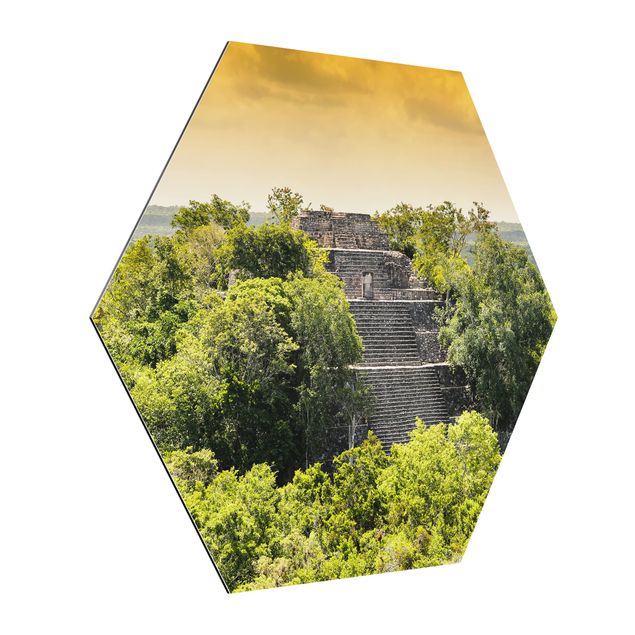 Tableau jungle Pyramide de Calakmul
