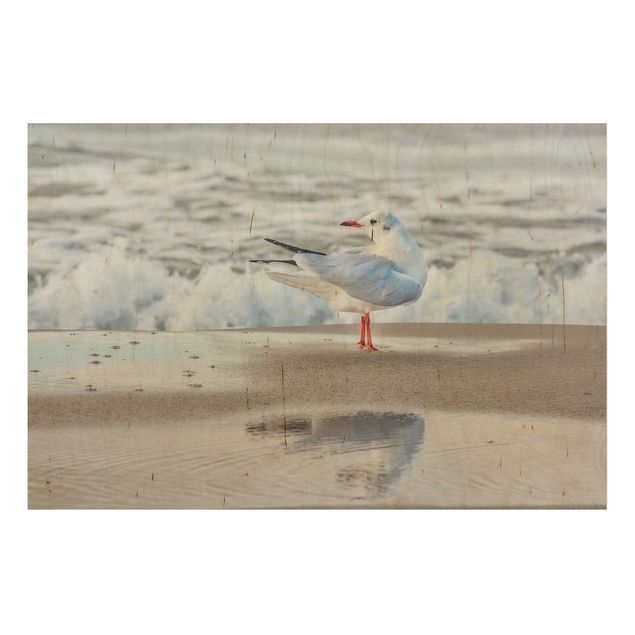 Tableaux en bois avec paysage Die Kleine Seenadel© Livre d'enfant Expédition La petite aiguille de mer