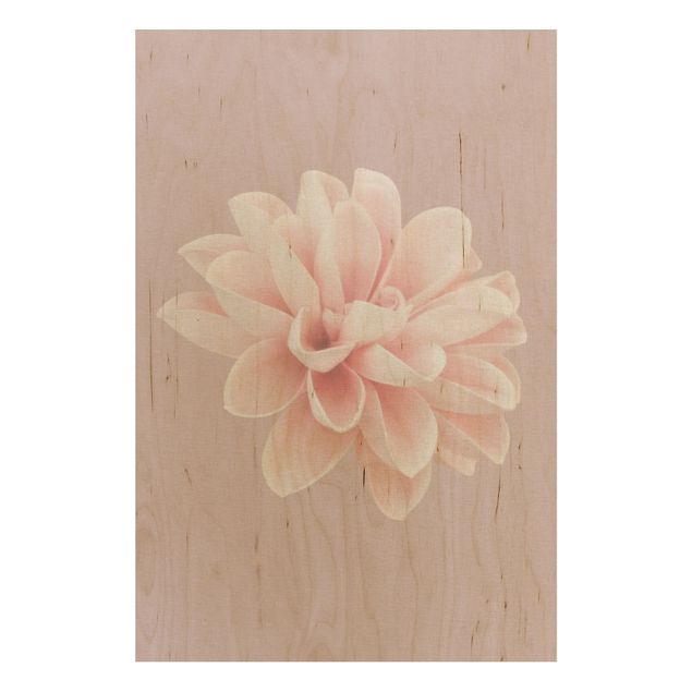 Tableaux en bois avec fleurs Fleur Dahlia Lavande Rose Blanc