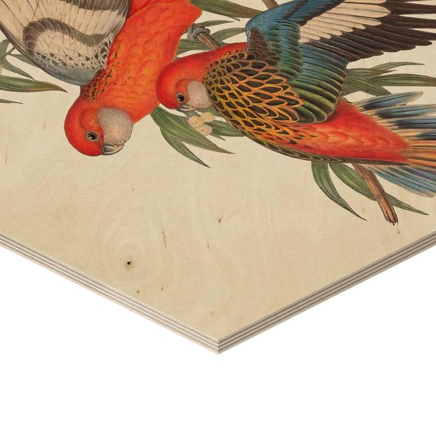 Hexagone en bois - Tropical Parrot I