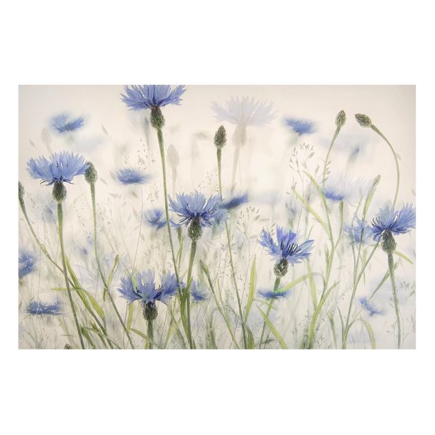 Tableaux magnétiques avec fleurs Bleuets et Herbes dans un champ