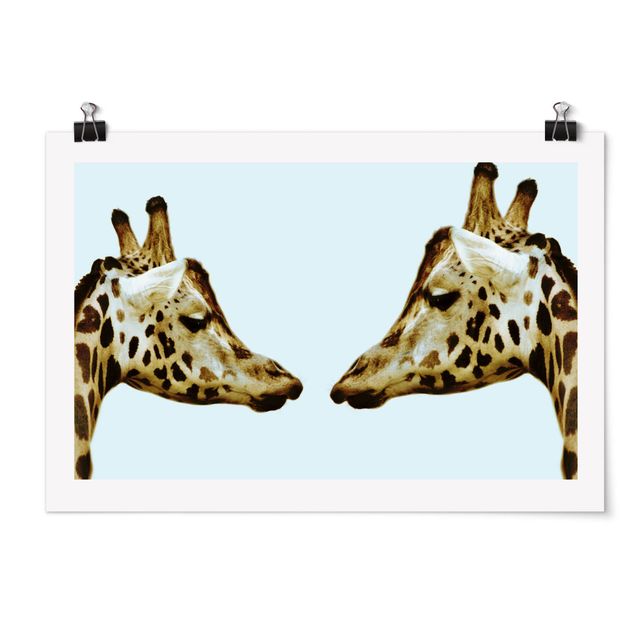 Cadre animaux Girafes en amour
