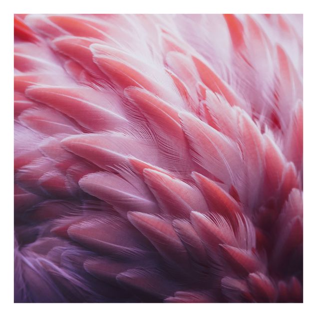 Fonds de hotte - Flamingo Feathers Close-Up - Carré 1:1