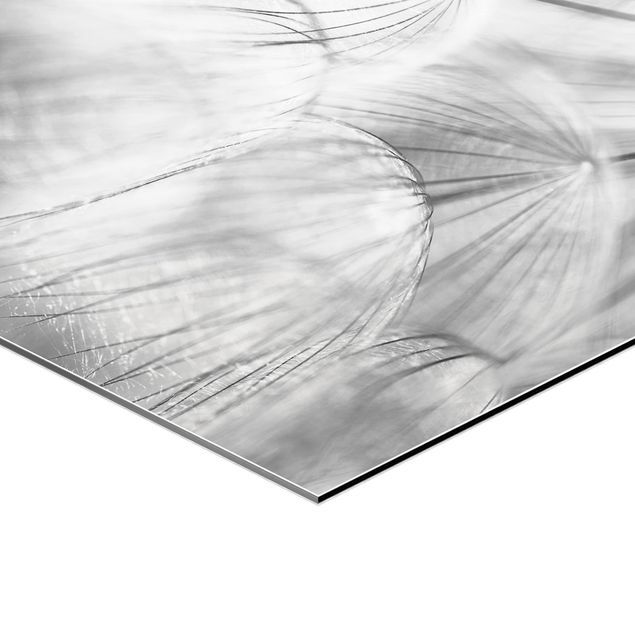 Tableau hexagonal Pissenlits en macrophotographie en noir et blanc