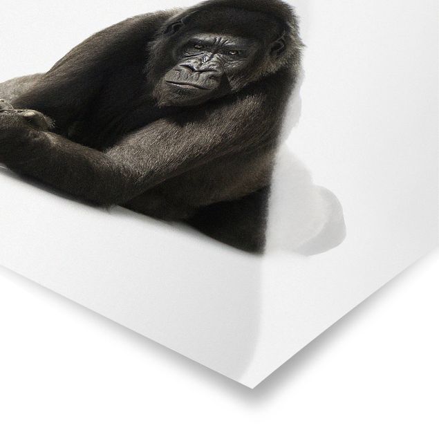 Tableau animaux afrique Gorille couché II