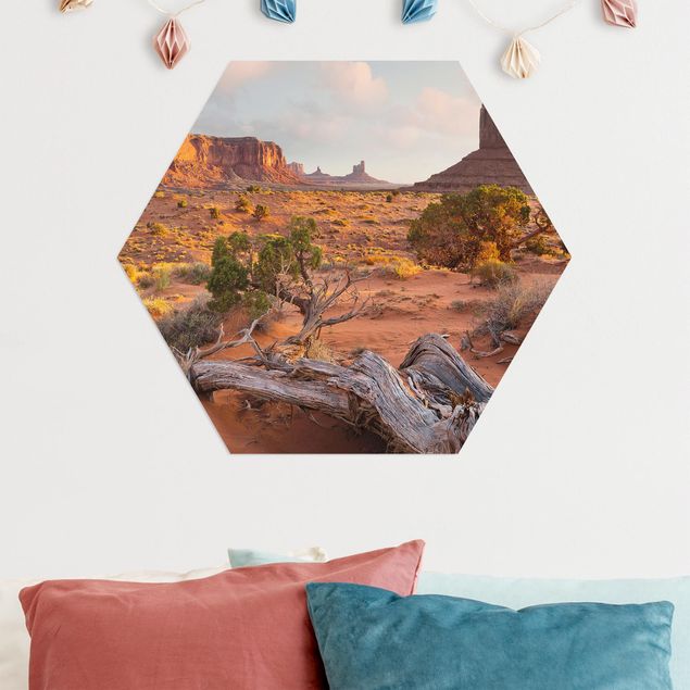 Tableaux paysage Monument Valley Parc Tribal Navajo Arizona