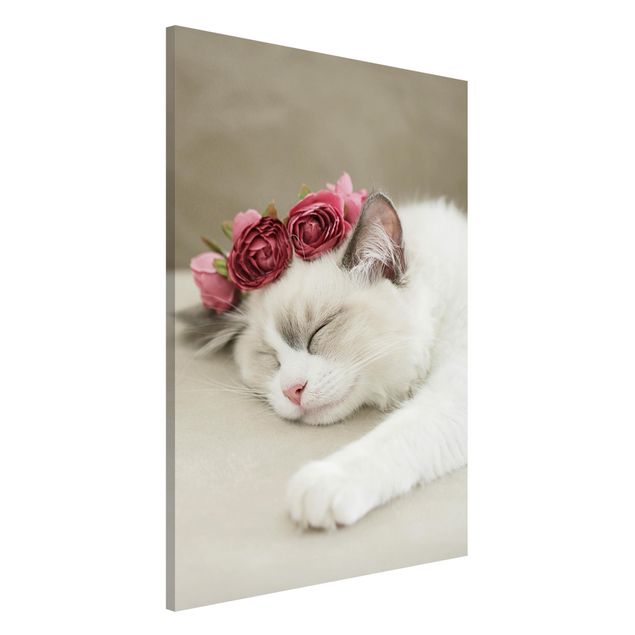 Décoration chambre bébé Chat endormi avec des roses
