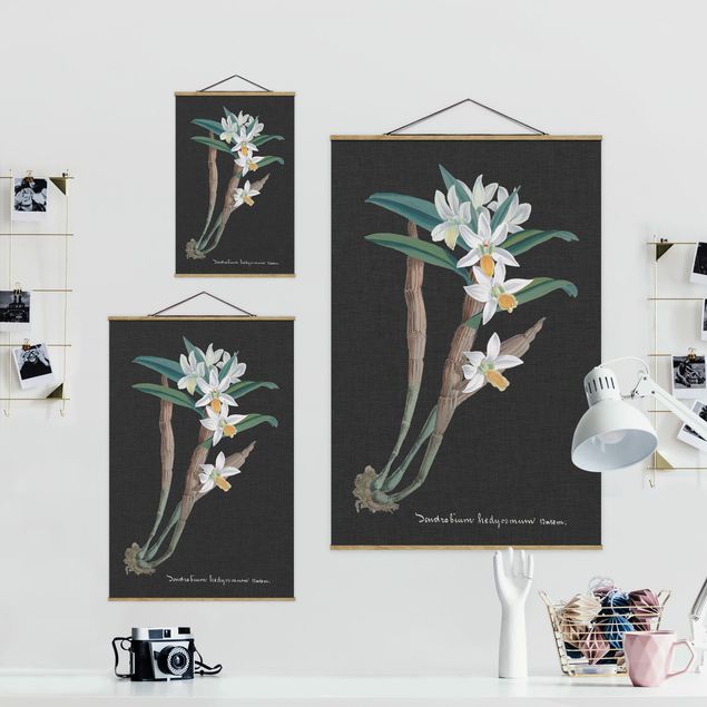 Tableaux noirs Orchidée blanche sur lin I