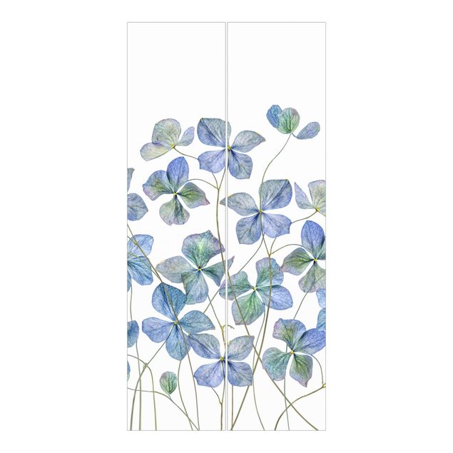 Panneaux japonais Fleurs d'hortensia bleues