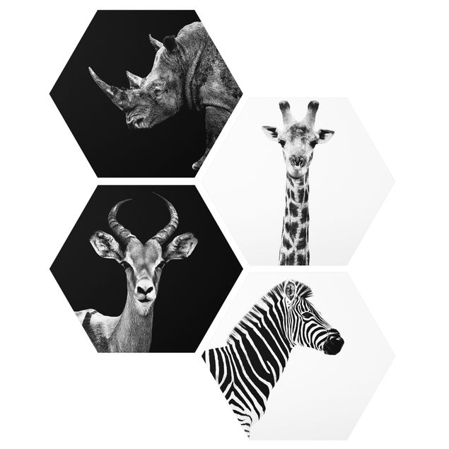 Tableaux moderne Quatuor Safari