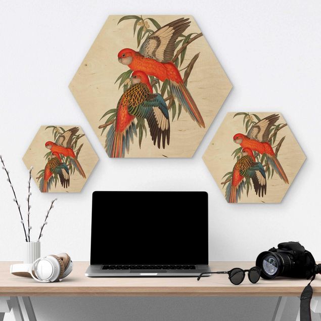 Hexagone en bois - Tropical Parrot I