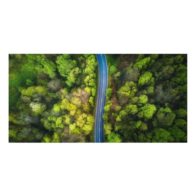 Fond de hotte - Aerial View - Asphalt Road In The Forest