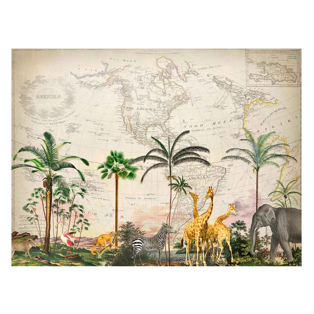 Tableaux magnétiques avec fleurs Collage Vintage - Faune et flore sur carte du monde