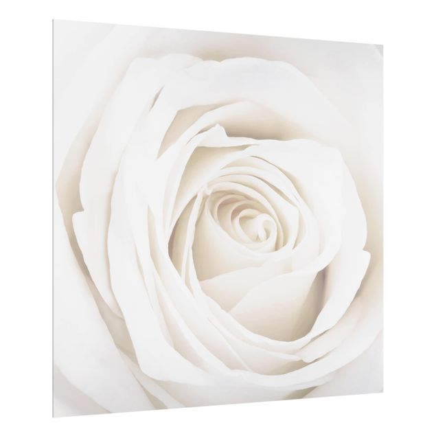Fond de hotte verre Pretty White Rose