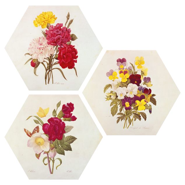 Tableau style vintage Pierre Joseph Redouté - Roses Clous de Girofle Pensées