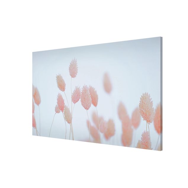 Tableau moderne Grass Tips In Pale Pink