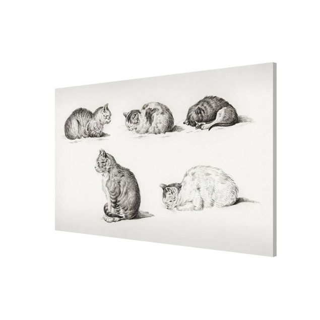 Tableaux animaux Vintage Drawing Cat I