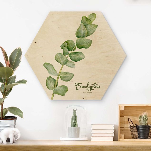 Tableaux en bois avec fleurs Botanique à l'aquarelle Eucalyptus
