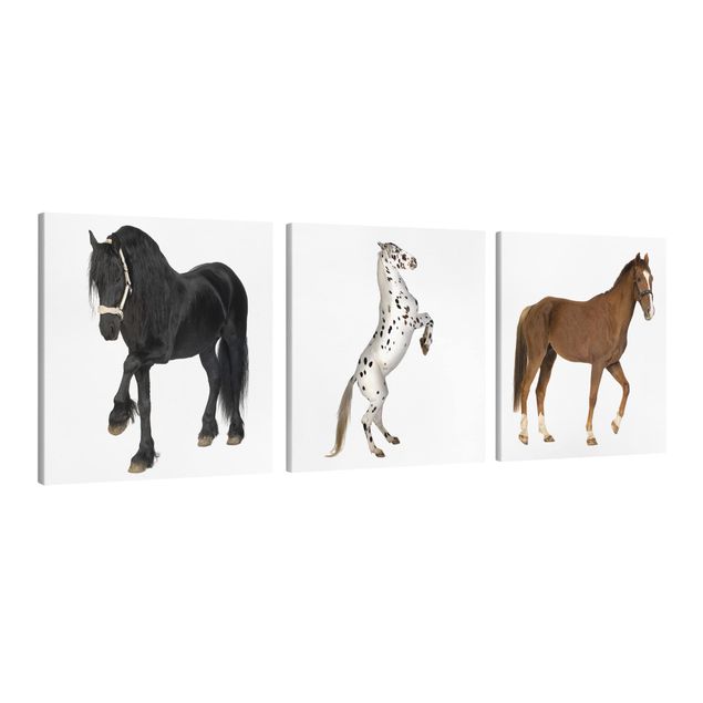 Tableaux animaux Trio de trois chevaux