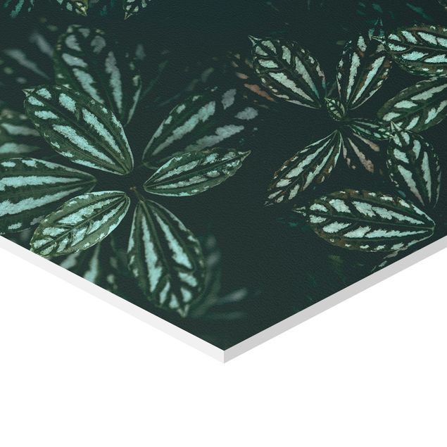 Tableau couleur vert Trio de feuilles