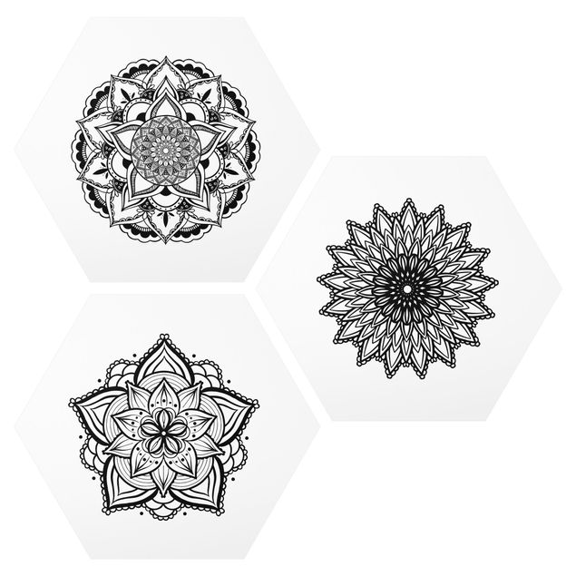 Tableaux dessins Mandala Flower Sun Illustration Set Black And White