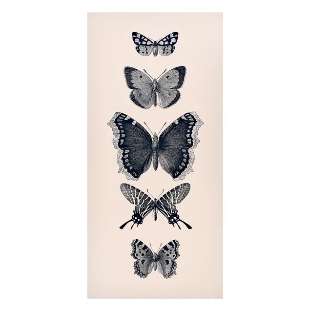 Tableau papillons Papillons à l'encre sur fond beige