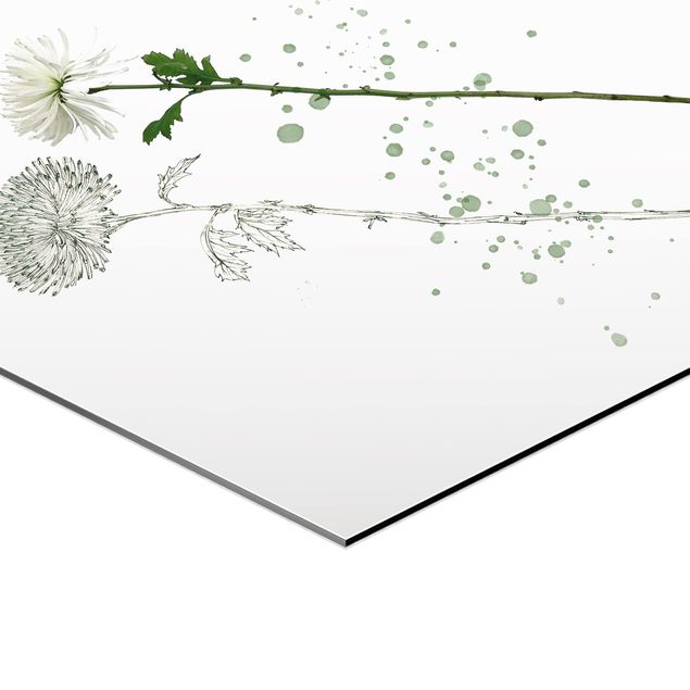 Tableau hexagon Botanique à l'aquarelle - Pissenlit