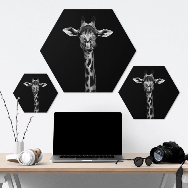 Tableau hexagonal Portrait de girafe sombre