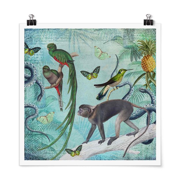tableaux floraux Collage de style colonial - Singes et oiseaux de paradis