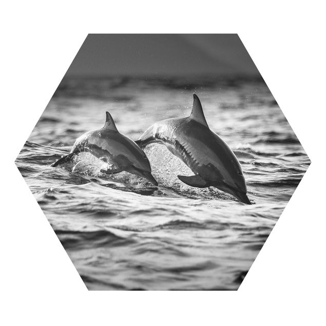 Forex tableau Deux dauphins qui sautent