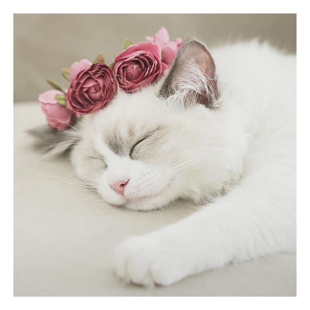 Tableau chat Chat endormi avec des roses