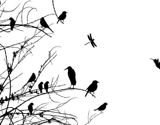 Film adhésif décoratif Branches et oiseaux au printemps