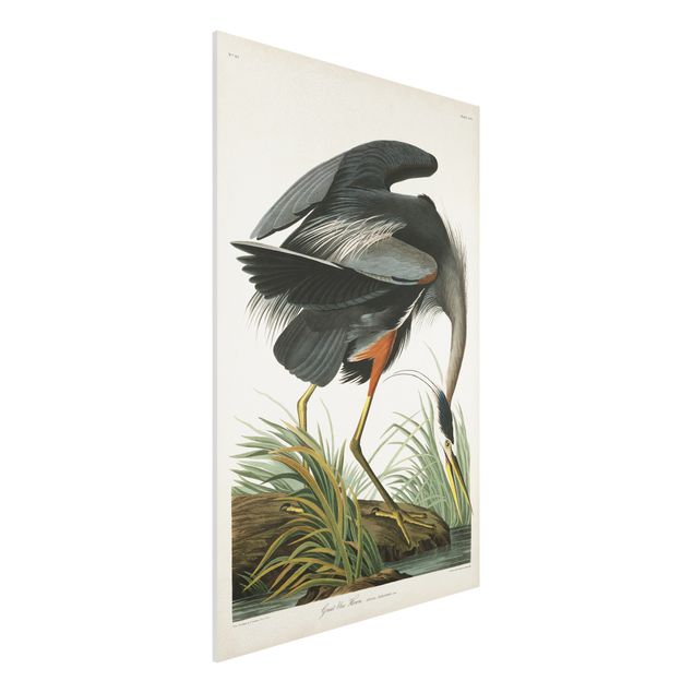 Déco murale cuisine Tableau Botanique Blue Heron