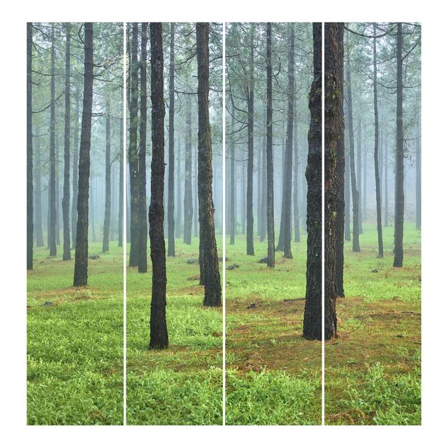 Tableaux de Rainer Mirau Forêt profonde avec des pins sur La Palma