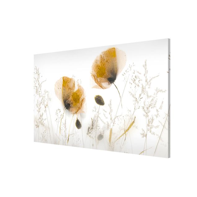 Tableaux magnétiques avec fleurs Fleurs de pavot et herbes délicates dans un doux brouillard