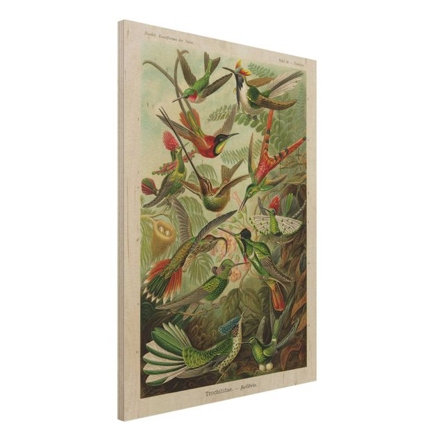 Déco mur cuisine Vintage Board Hummingbirds