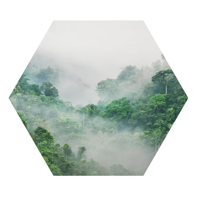 Tableaux modernes Jungle dans le brouillard