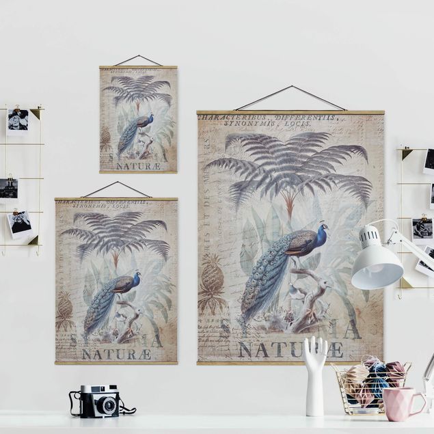 Tableaux de Andrea Haase Collage Shabby Chic - Paon