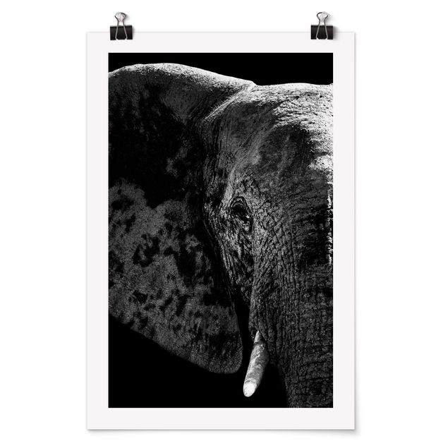 Tableau moderne Éléphant d'Afrique noir et blanc