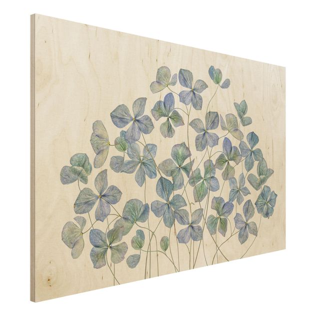 Tableaux en bois avec fleurs Fleurs d'hortensia bleues