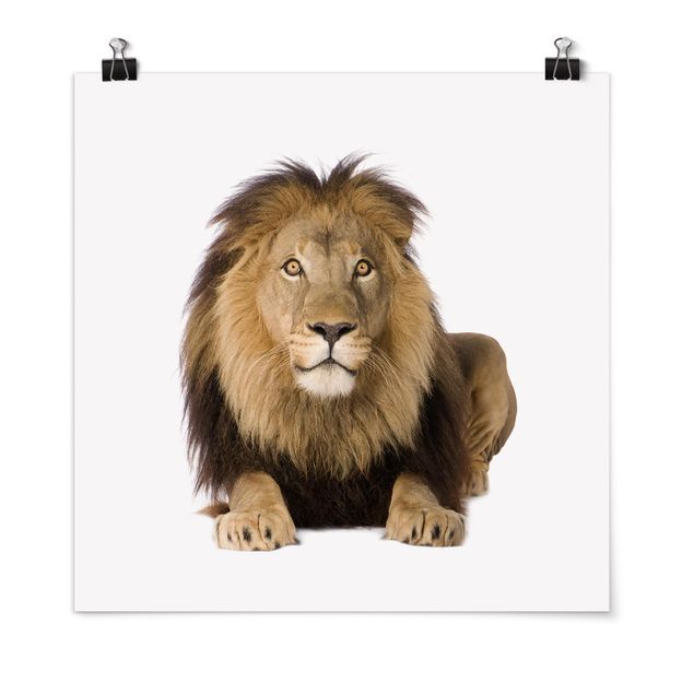Tableaux modernes Roi Lion II