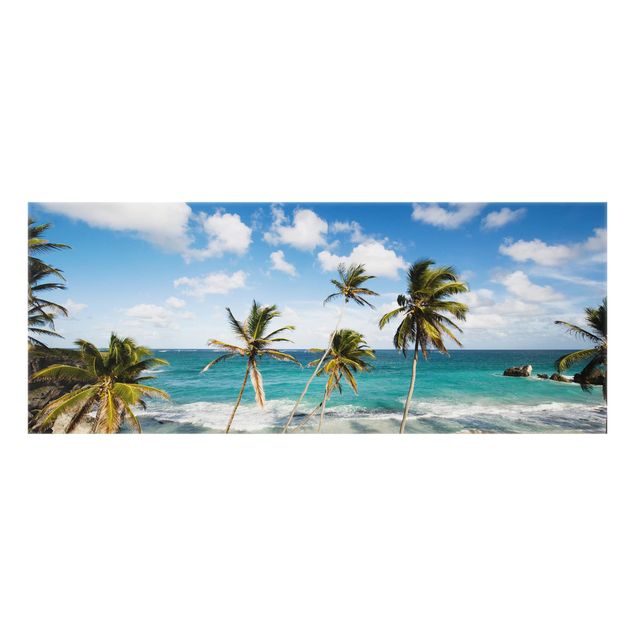 Fond de hotte - Beach Of Barbados