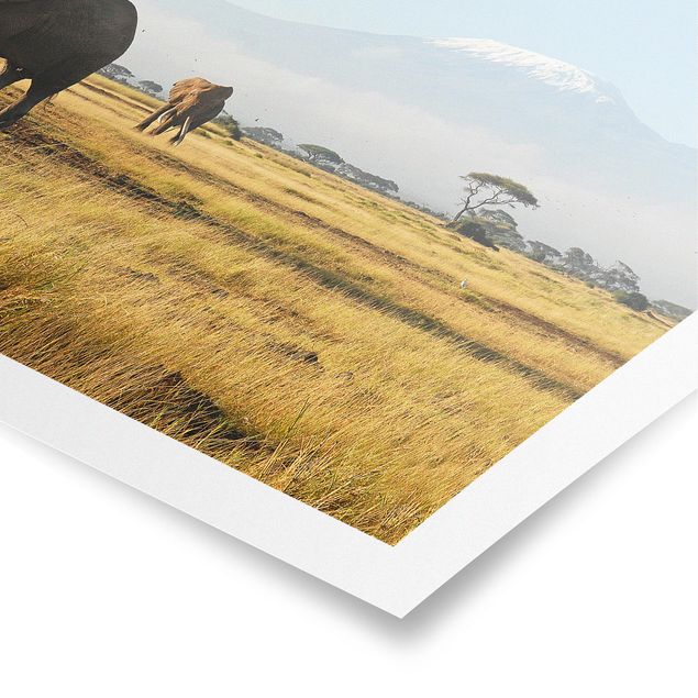 Tableaux moderne Eléphants devant le Kilimandjaro au Kenya