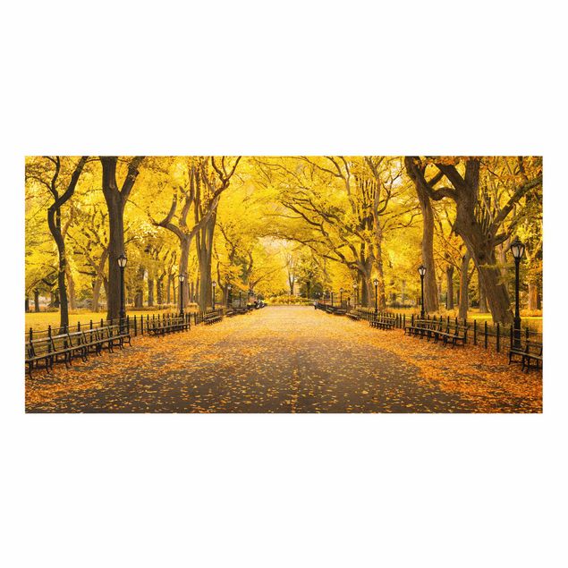 Fonds de hotte - Autumn In Central Park - Format paysage 2:1