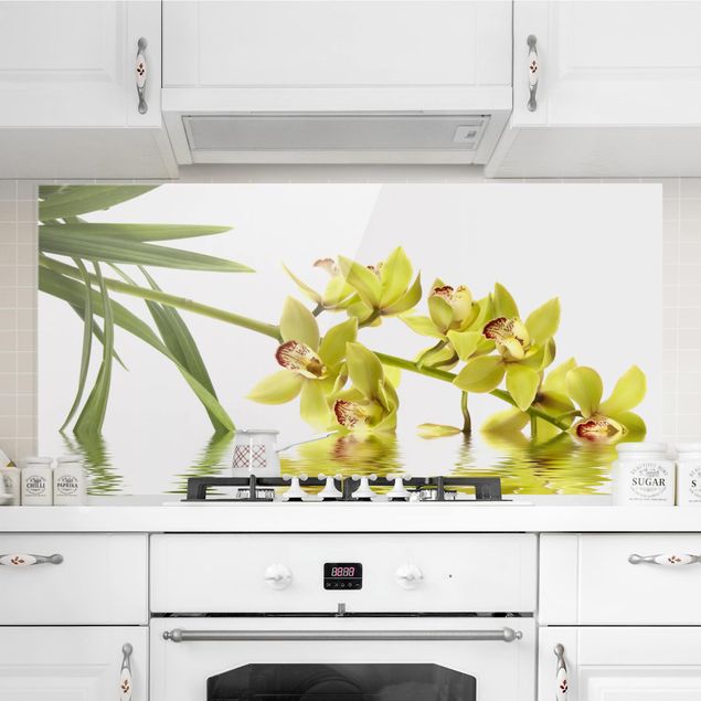 Décorations cuisine Eaux élégantes d'orchidées